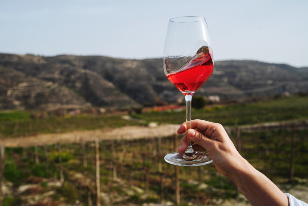 Female hand delicately holds a glass of rose wine with view of a